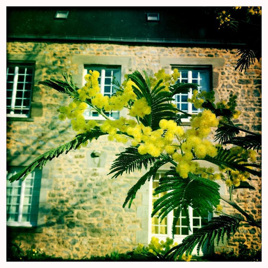 Bed and Breakfast Manoir De La Grand'Cour Soulgé-sur-ouette Zewnętrze zdjęcie